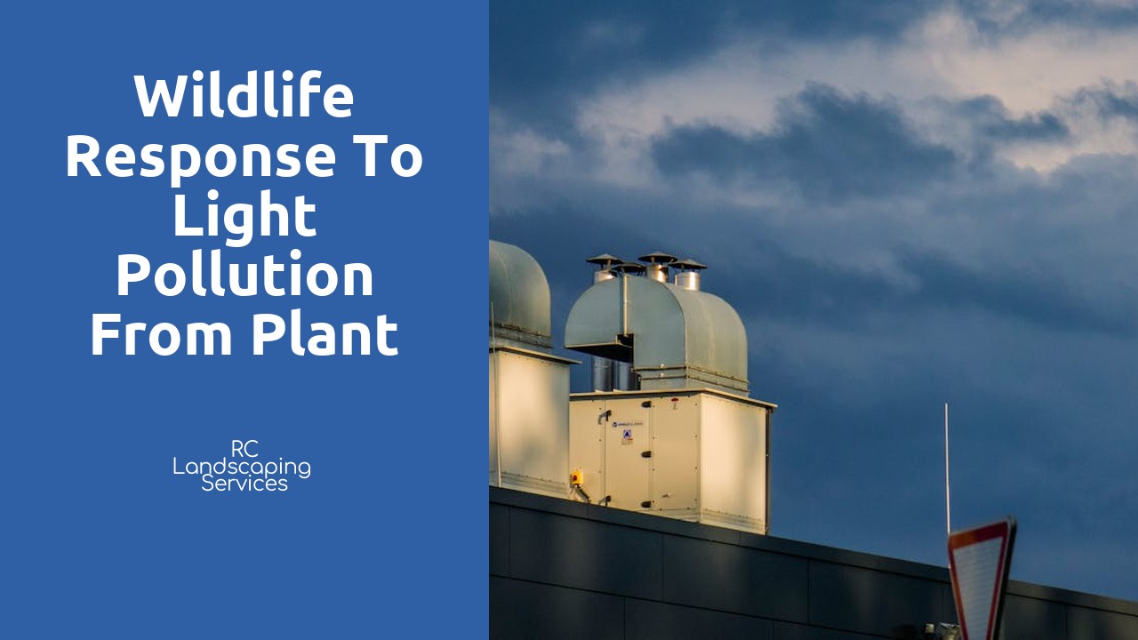 Wildlife Response to Light Pollution from Plant Installation 